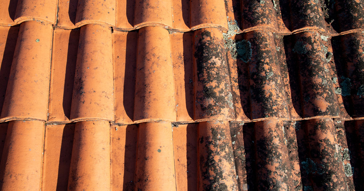 démoussage de toiture